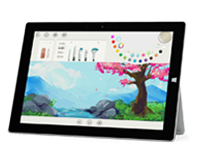 石林Surface 无法开启、Windows 无法启动或电池无法充电