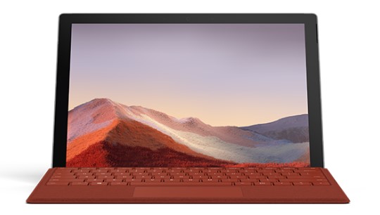 石林清洁和维护 Surface